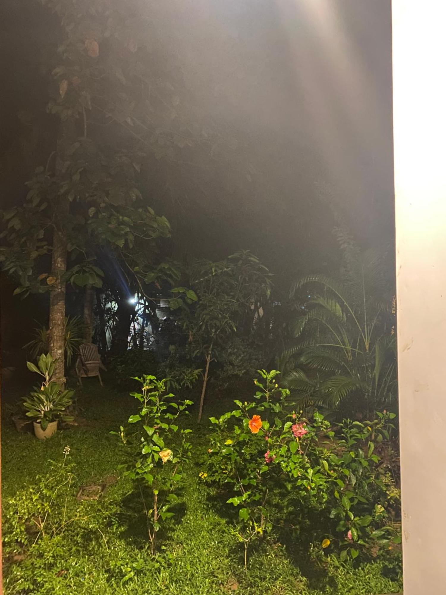 Talalla Ocean Beach Bungalow Matara Exterior photo